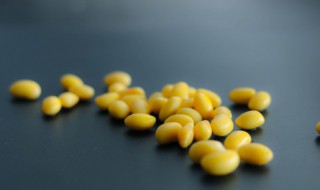 如何自制腌黄豆（如何自制腌黄豆酱）