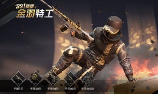 和平精英新赛季怎么获得赛季皮肤（和平精英新赛季怎么获得赛季皮肤币）