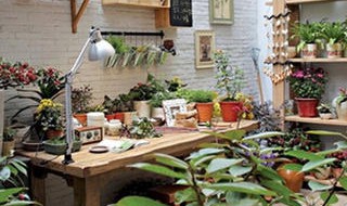 阳台养花滴水怎么解决 阳台浇花的水会不会漏到楼下