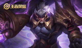 怎么看王者荣耀的限制(王者荣耀如何设置查询限制)