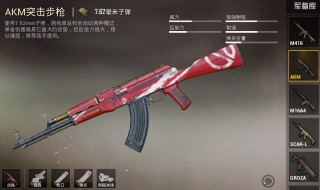 和平精英怎么给枪皮肤（和平精英怎么用枪皮肤）