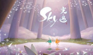 光遇椅子从哪里得（光遇椅子干嘛用）