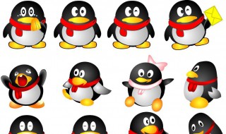 如何让qq快速升级 如何让qq快速升级?