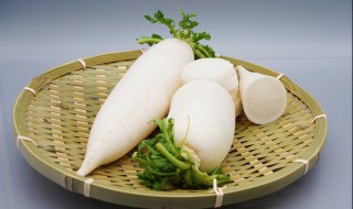 鲈鱼萝卜汤制作方法(白萝卜鲈鱼汤做法)