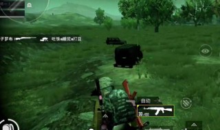 好听的单身吃鸡名 好听的单身吃鸡名字