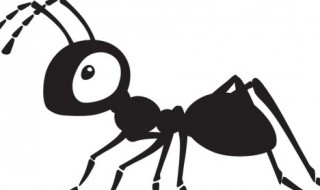 梦到好多蚂蚁是什么意思（梦见有好多蚂蚁是什么意思啊）