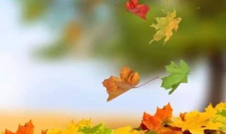 散文读后感 散文读后感500字