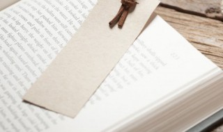 托的组词（托的组词100个）