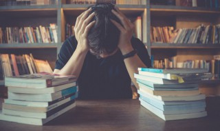 堤的组词（堤的组词拼音）