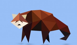 狸的组词(狸的组词2个字)