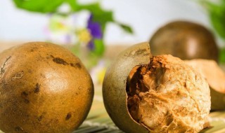 罗汉果的禁忌是什么 罗汉果有什么禁忌