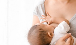 催奶汤什么时候喝比较好(催奶喝啥汤好)