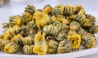 野菊花泡水的禁忌（野菊花泡水的禁忌是什么）