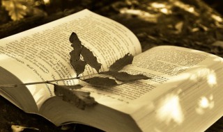 好听的御姐网名（好听的御姐网名两个字）