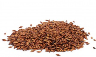 大麦茶的功效与禁忌有哪些（大麦茶的食用禁忌）