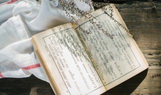 判若两人的意思 判若两人的意思解释