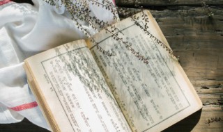 讴功颂德的意思（讴功颂德的拼音）