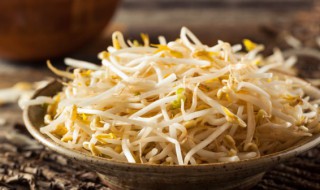 怎么发黄豆芽简单做法窍门 发黄豆芽的做法