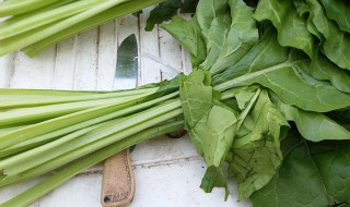 牛皮菜怎么做好吃呢（牛皮菜怎么做好吃呢图片）