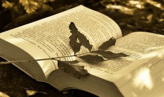 女宝宝名字寓意好有内涵2021