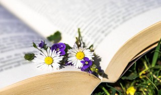 女孩子高贵优雅的名字（好听高贵的女生名字）