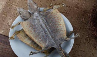 蛤蚧的功效与作用吃法(蛤蚧的功效与作用吃法炖多久)