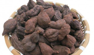 何首乌的吃法用量 何首乌用量养生之家