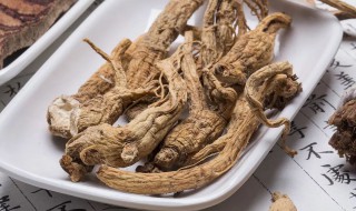 当归黄芪的功效与作用吃法（当归黄芪的功效与作用吃法大全）