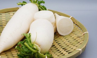 家常牛腩炖萝卜的做法 牛腩炖萝卜简单的做法