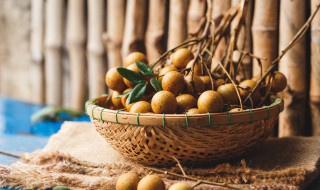 鲜桂圆的功效与作用吃法 鲜桂圆的功效与作用吃法及禁忌