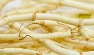 鱼腥草的禁忌和副作用（鱼腥草的副作用与禁忌）