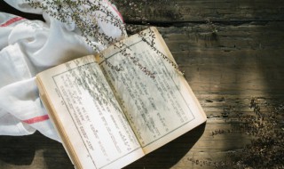 像心像意的意思（像心像意的意思是什么）