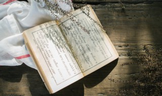 惓惓之意的意思 贳之是什么意思