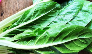 牛皮菜怎么做好吃菜(牛皮菜怎么做好吃?)