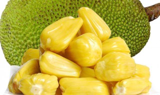 菠萝蜜的吃法有几种（菠萝蜜的吃法有哪几种）