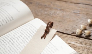 聊以自慰的意思(聊以自慰的意思和造句)