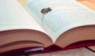 2021年出生女孩起名字大全（2021年出生女孩起名字大全集）