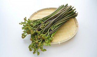 蕨菜怎么做（新鲜蕨菜怎么做）