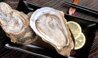 海蛎子功效和禁忌（海蛎子功效作用）