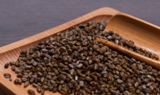 决明子泡水喝的功效与禁忌 决明子泡水喝有什么禁忌