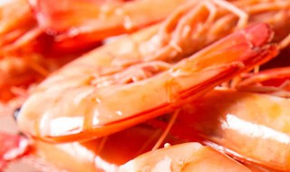 白水煮活虾的家常做法(白水煮活虾的家常做法窍门)