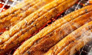 鳗鱼干怎么做好吃法 鳗鱼干怎么做好吃?