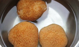 猴头菇的泡发做法大全（猴头菇的泡发做法大全窍门）