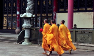 僧组词 僧组词三年级