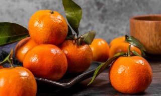 橘字组词 送字组词