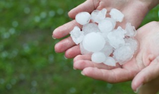 雹的组词 雹的组词和拼音