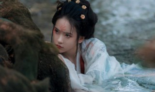 唐代服装面料图案特点 唐代服饰图案特点