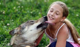 梦到被狼咬是什么意思（梦到被狼咬是什么意思 最后把狼打跑了）