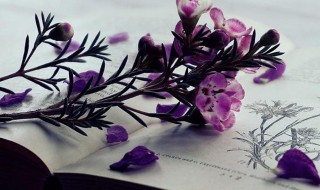 好听文艺的女生名字（好听文艺的女生名字四个字）