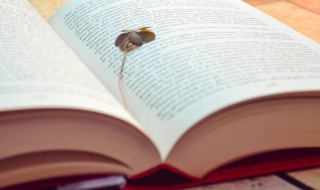 洋气的男孩名字大全2021 洋气的男孩名字大全英文